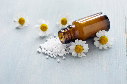 Chamomile and Homeopathic Medicine