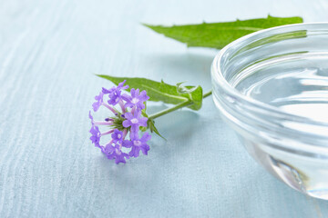 Still life of Bach flowers (Vervain) and bowl of water, Germany