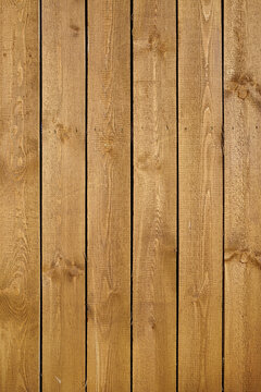 Close-up of Wooden Wall