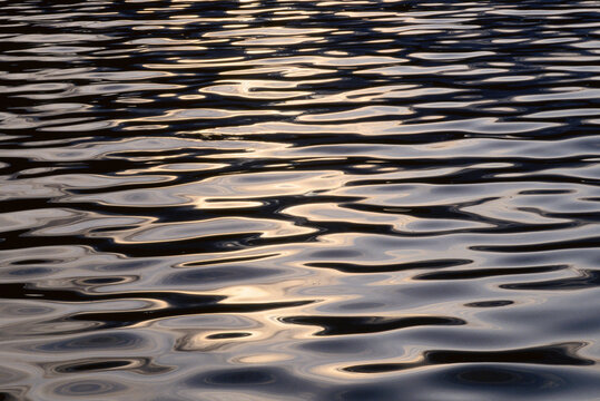 Water Pattern, Labrador, Canada