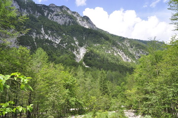 Fototapeta na wymiar Alpy Julijskie, góry, Triglavski park, lato, wspinaczka, 