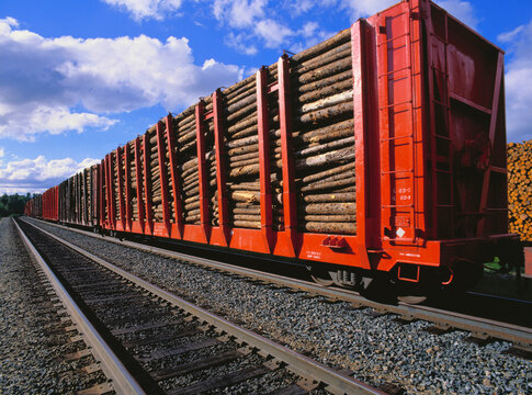 Pulpwood on Train, Northern Ontario, Canada