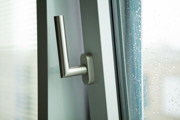 Stylish chrome handle on a dark window frame.