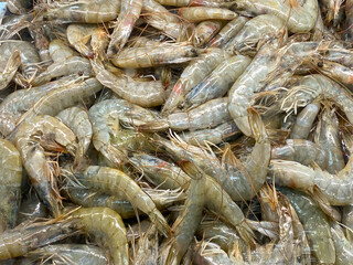 Close-up shot of shrimp at supermarke, shot from close view point