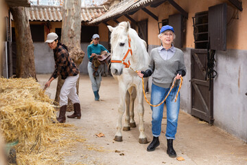 Women horse ranchers preparing horse for ride. Senior woman leading horse out of stable, younger woman carrying saddle, Asian woman stacking hay.