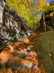 stairs in autumn