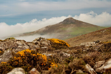 landscape in the morning
