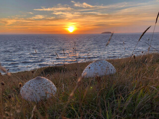 sunset over the ocean