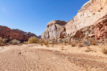 Fototapeta premium Horseshoe Canyon-Canyonlands National Park