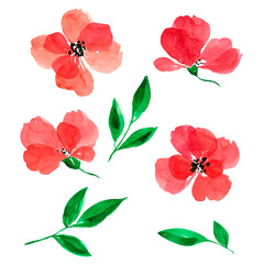 Drawn set of watercolor red flowers. Air watercolor flowers. Clip art. Elements for decor. Texture. Floristics. Bloom. Spring. 