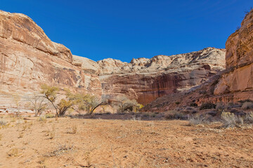 Fototapeta na wymiar Horseshoe Canyon-Canyonlands National Park