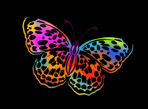 Abstract colored butterflies. Vector illustration