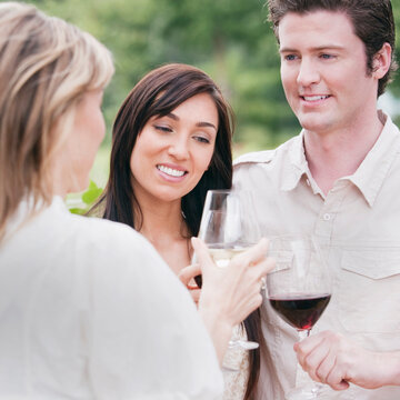 Group of People Outdoors Drinking Wine
