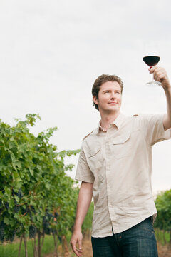 Man in Vineyard Examining a Glass of Wine