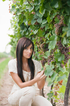 Wine Maker Checking Grapes