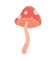 mushroom wild icon