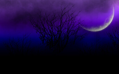 night background with moon sky with blue tones and lilac trees in the background