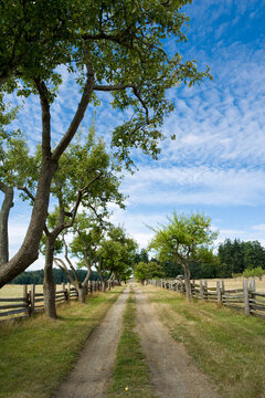 Country Road, Salt Spring Island, British Columbia, Canada