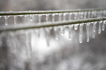 Electric cables, wires are covered with ice after the phenomenon of freezing rain. Selective focus	

