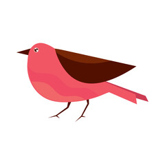 bird animal vector icon