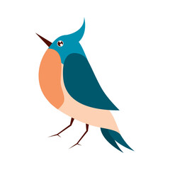 cute bird animal