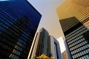 Looking Up at Office Towers Toronto, Ontario, Canada