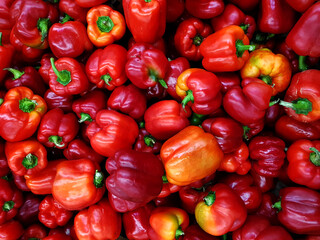 Red bell peppers. Many vegetables in the store. Food background.