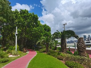 Obraz premium park