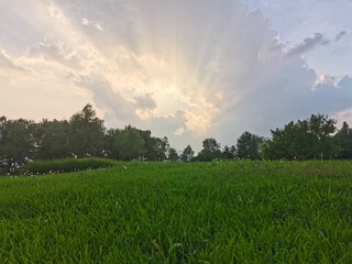 Obraz na płótnie Canvas green field and sky