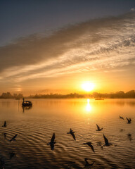 茨城県水戸市　冬の仙波湖の朝