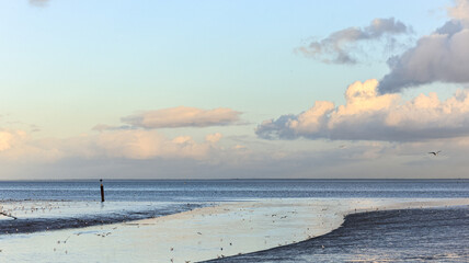landscape at low tide at sunset on the Tagus river in Lisbon, Portugal