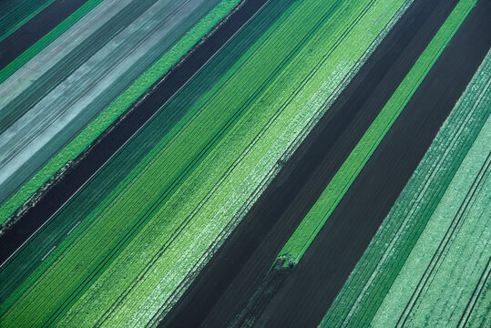 Farmland, Holland Marsh, Ontario, Canada
