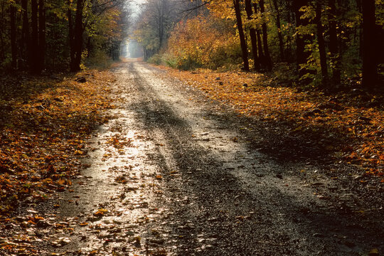 Road in Autumn, St. Joseph Island, Ontario, Canada