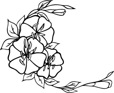black outline drawing flowering branches on a white background, isolated element, decor