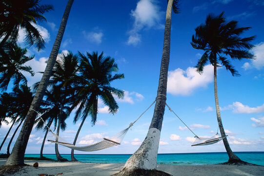 Hammocks and Palm Trees, Emerald Palms Resort, South Andros, The Bahamas