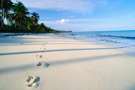 Footprints On Beach, Near Emerald Palms Resort, South Andros, The Bahamas