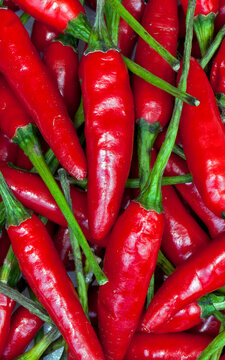 Closeup of stack of Brazilian Red Pepper