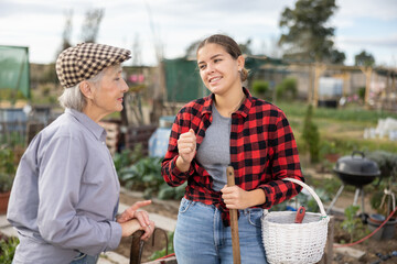 Two cheerful young and old female neighbors standing with busket and talking while digging garden on sunny day of autumn