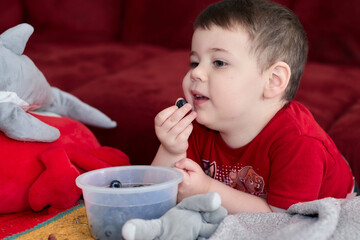 cute boy is watching tv and eating blueberries in the livingroom