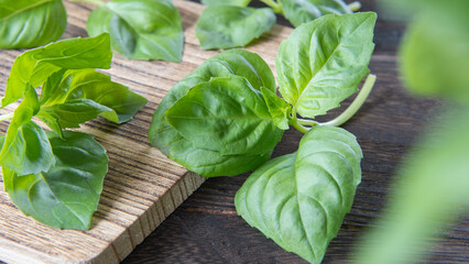 スイートバジル