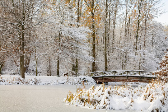 Bridge, Jericho Beach Park, Vancouver, British Columbia, Canada