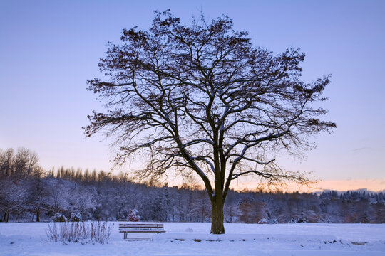 Jericho Beach Park, Vancouver, British Columbia, Canada