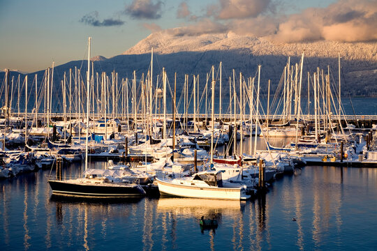 Boats, Jericho Beach Marina, Jericho Beach, Vancouver, British Columbia, Canada