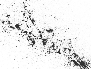 Obraz premium Paint Splatter