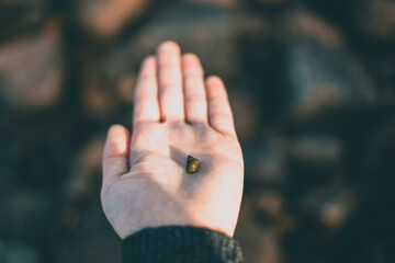 Small shell on a hand with a beautiful bokeh