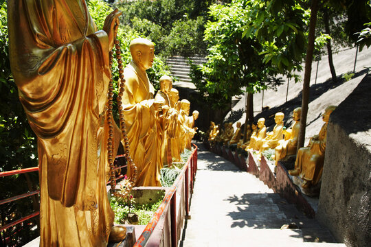 Path Lined With Golden Buddha Statues Leading to the Ten Thousand Buddhas Monastery, Sha Tin, New Territories, China