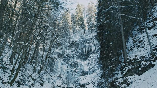 Eiszapfen und Eisbach