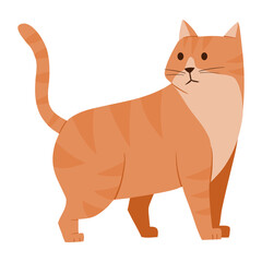 cute cat illustration