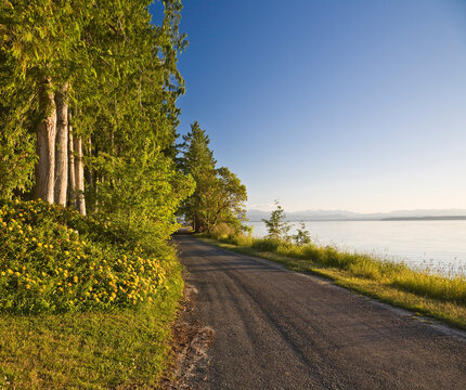 Road along Coast, Cortes Island, British Columbia, Canada