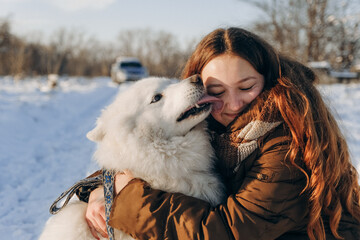 Winter walk with your favorite Samoyed pet.